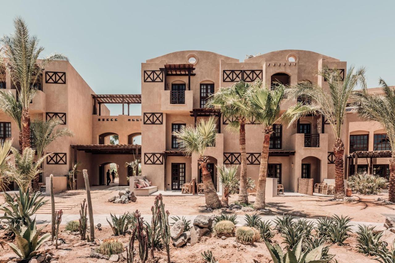 Cook'S Club El Gouna (Adults Only) Hurghada Esterno foto